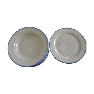 Lot d'assiettes blue moucheté Tulowice