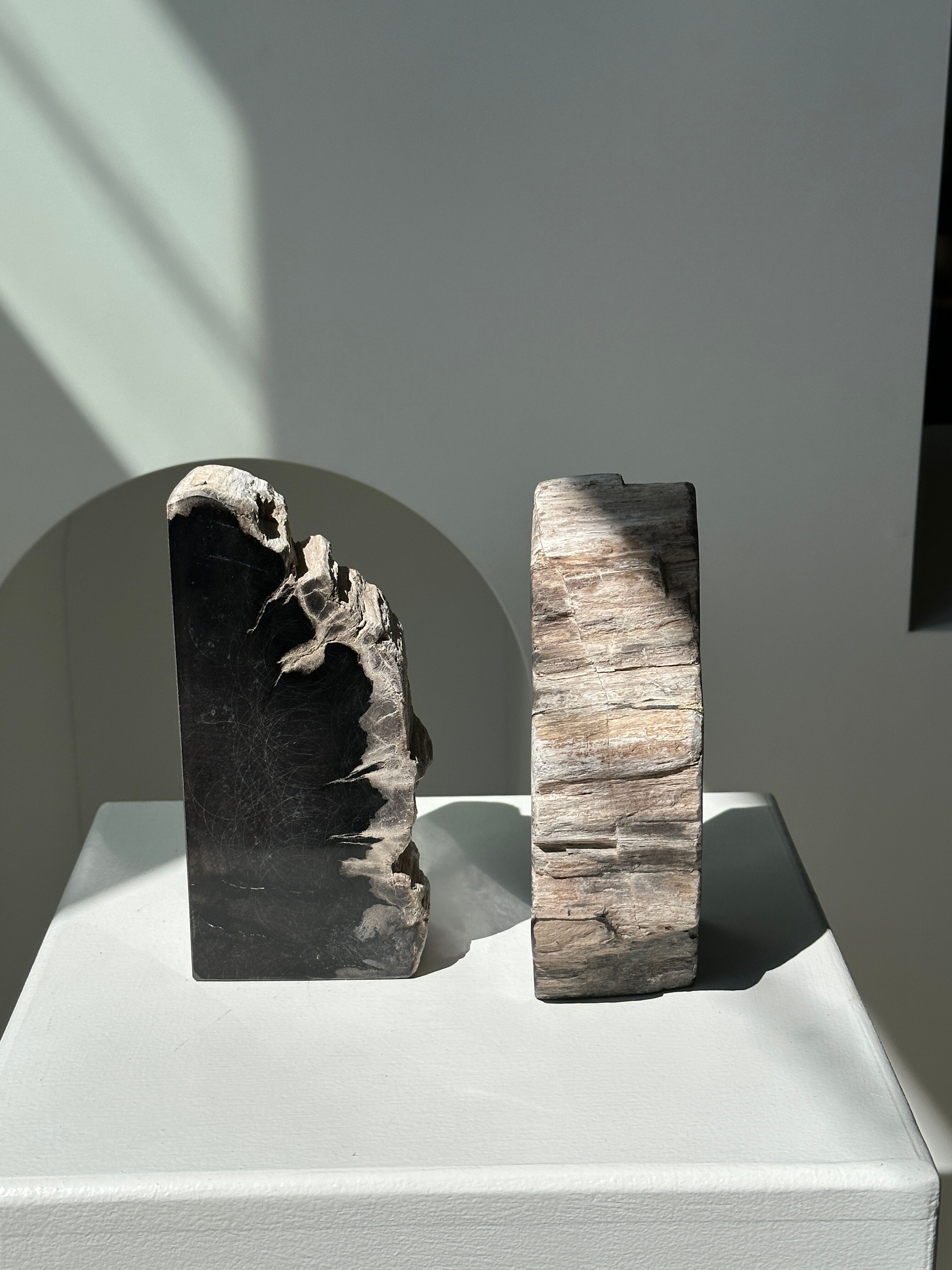Black petrified wood bookend H17 L17 P6