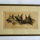 Lithograph of German Shepherds Léon Danchin