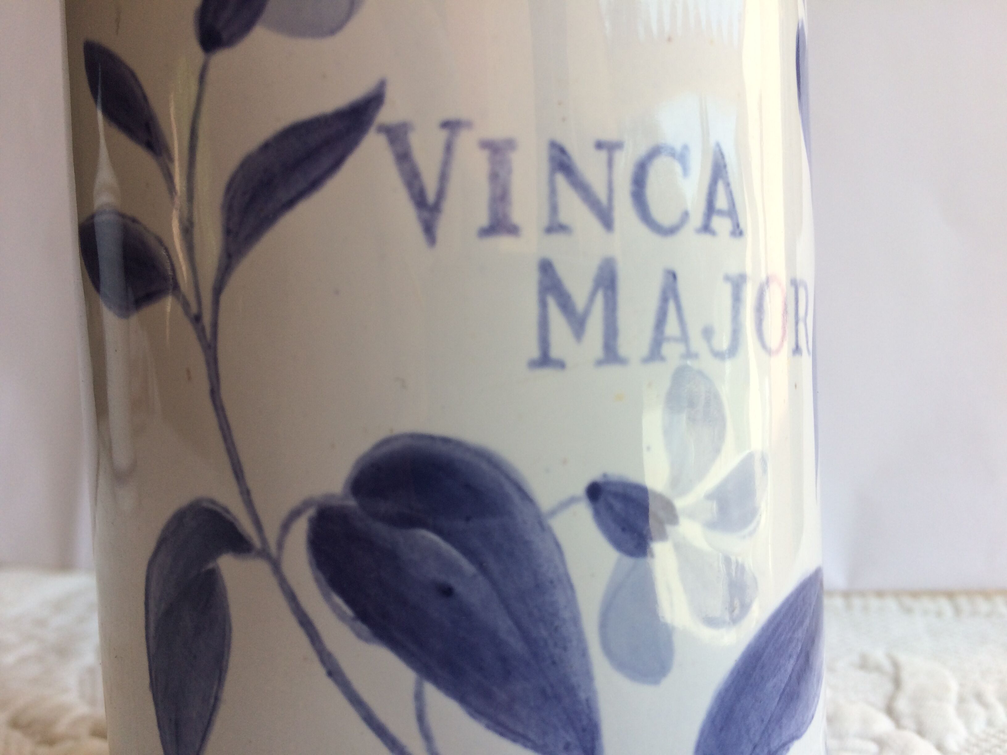 Pair of ceramic pharmacy pots