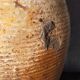 Potter bottle enamelled earth art-populaire XIXth