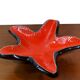 Cup star Elchinger 1950