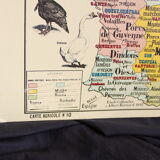 Vintage poster "Domestic animals"