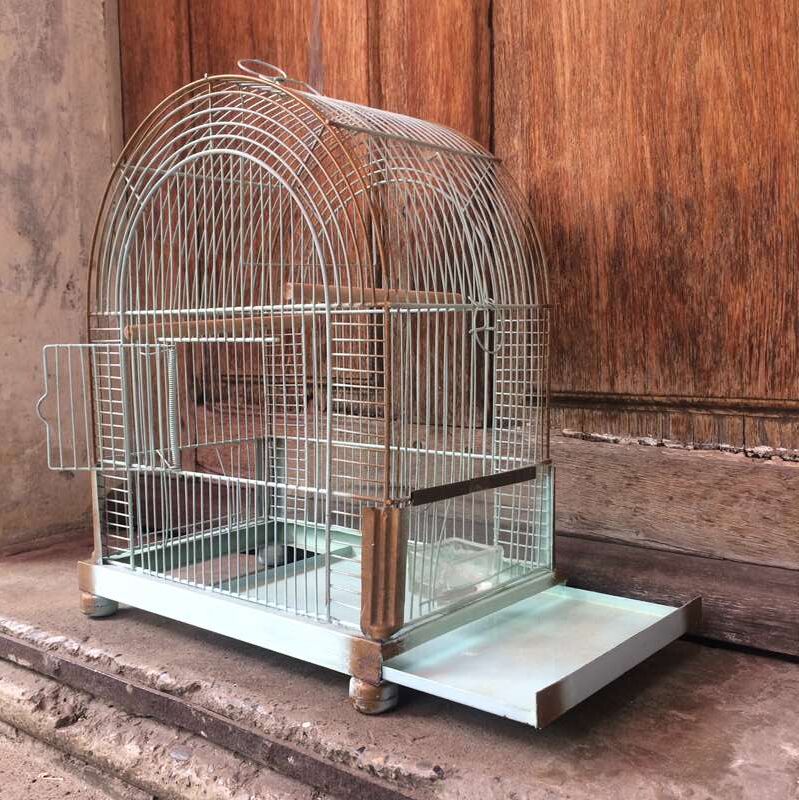 Old birdcage