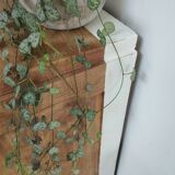 Filing Cabinet with Curtain / Vintage Furniture