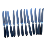 12 knives melted steel ebony handle