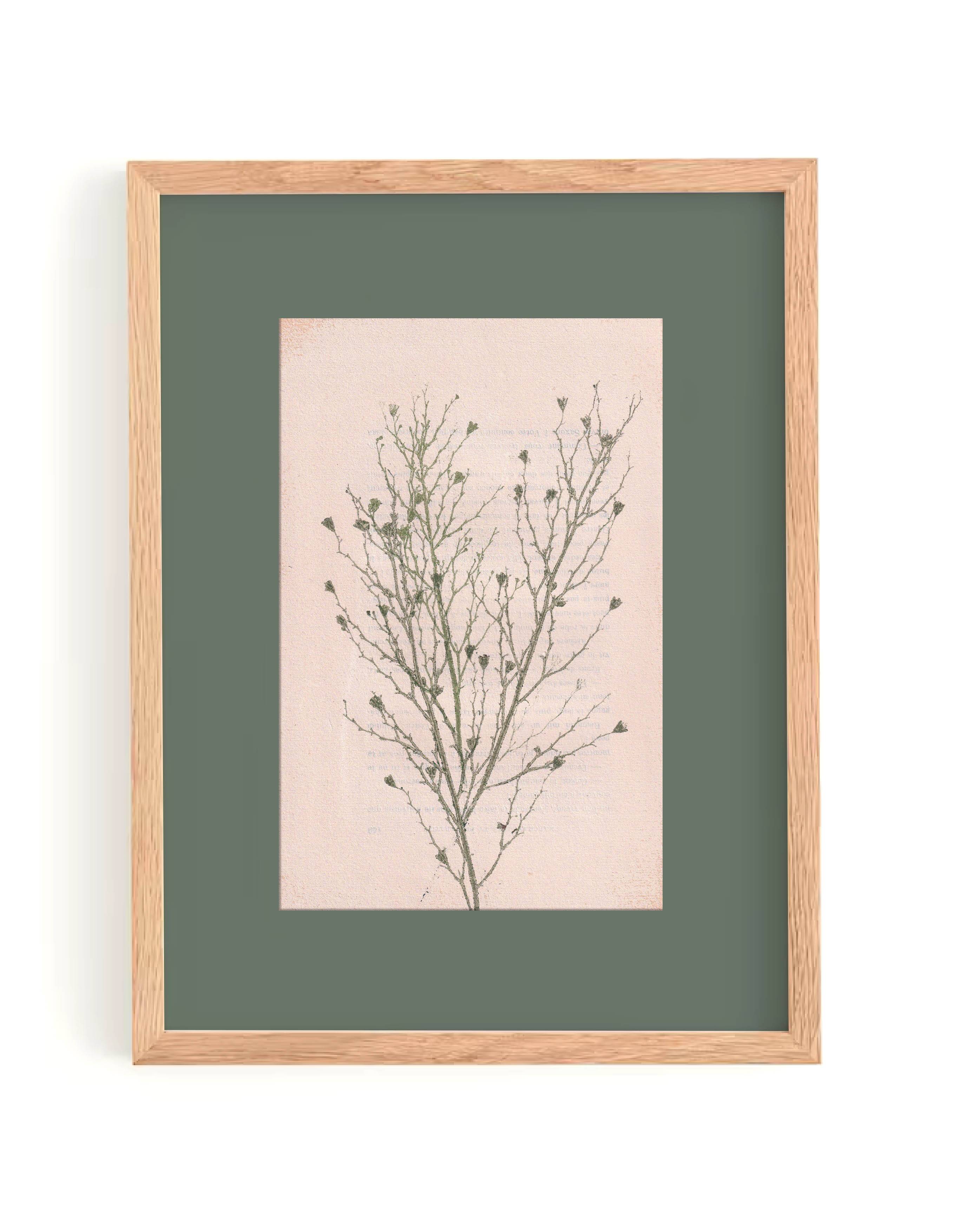 Painting on paper botanical herbarium series signed Eawy