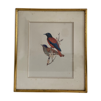 Ancient lithography frame