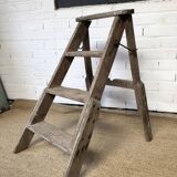 Removable painter's stepladder