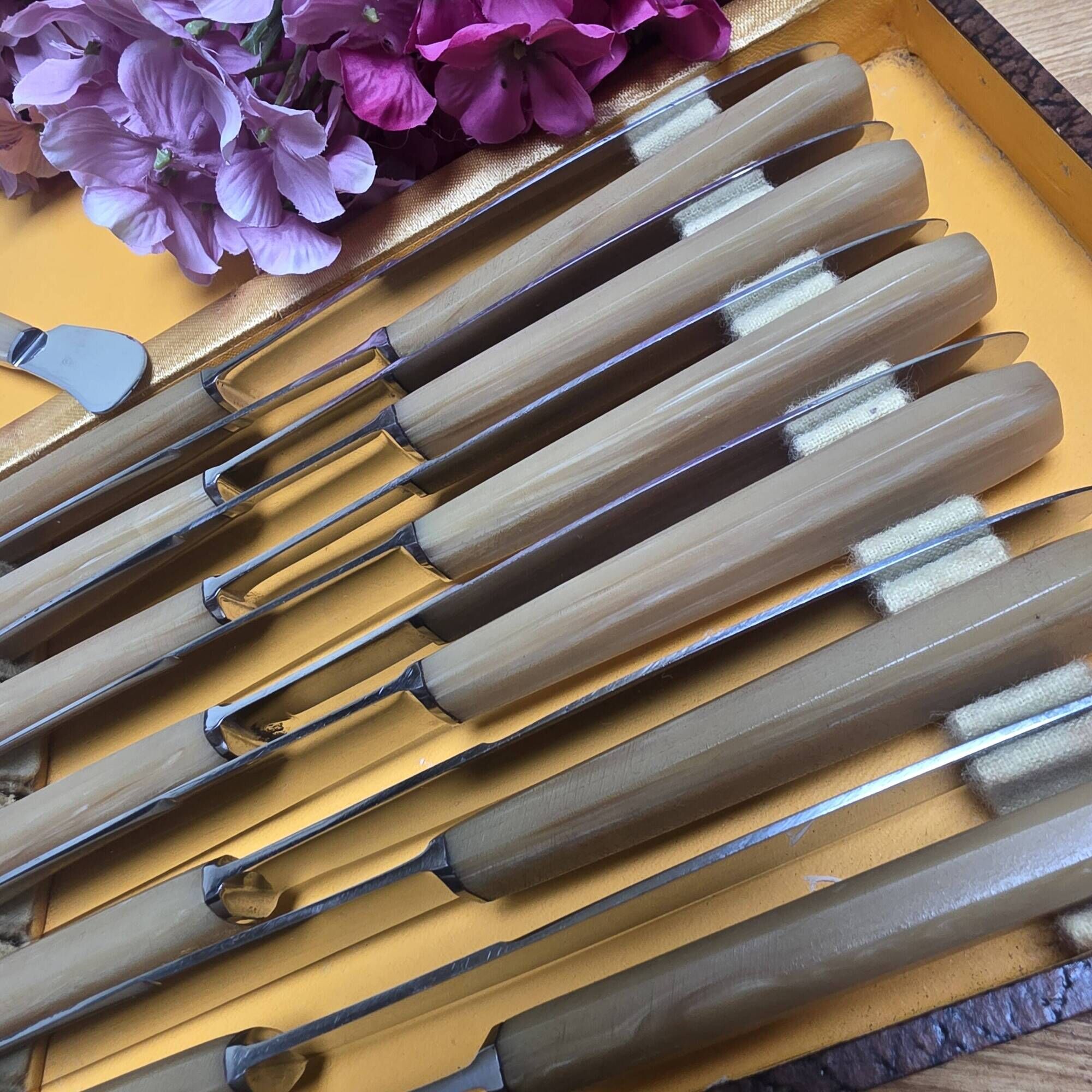 12 vintage knives in a box + 1 butter knife