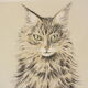 Basile Titoff - Lithograph signed - Orion Chat