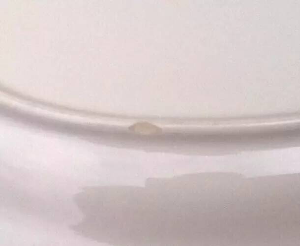 1950s Oval Earthenware Serving Platter with Vegetable Decor