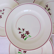 Set of 4 vintage porcelain dinner plates from the Salins factory