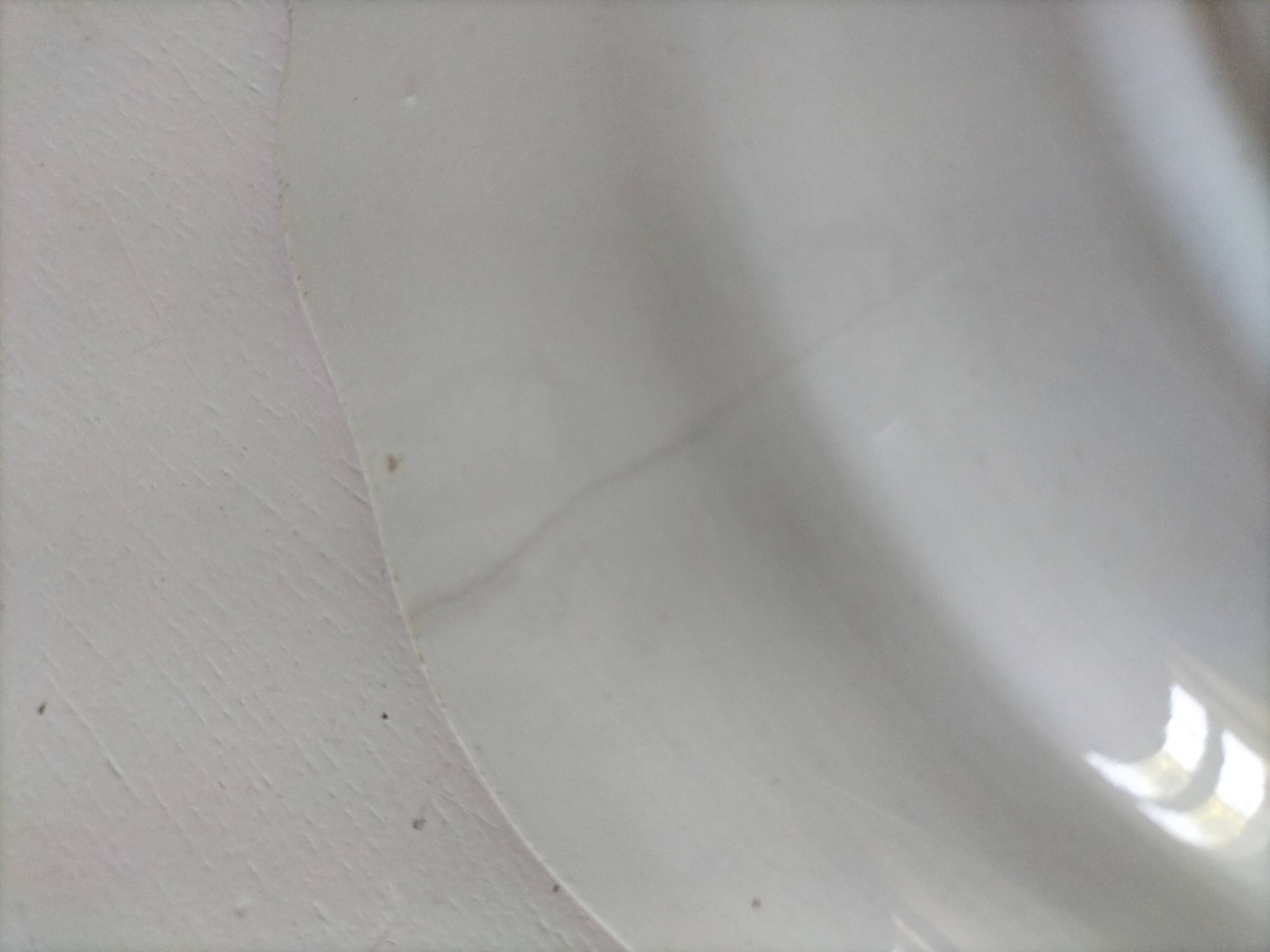 Antique plate with rooster – Keller & Guérin Lunéville