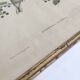 Lithograph vintage bird couple by J. Gould and H-C Richter golden frame