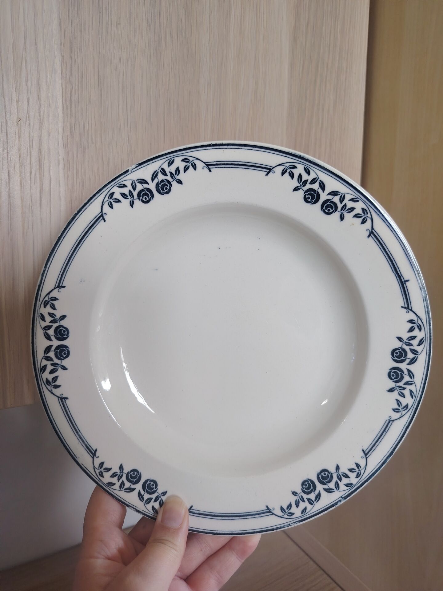 Deep plates ironstone Saussure