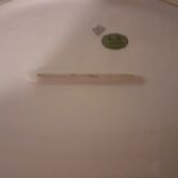 Dish