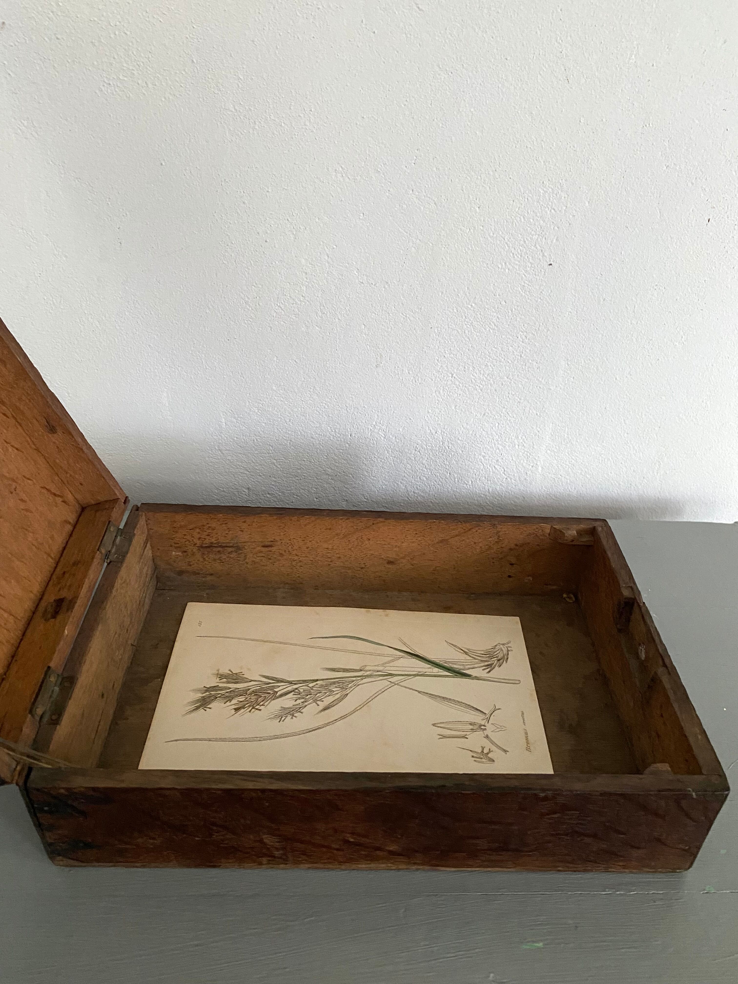 Wooden box lid