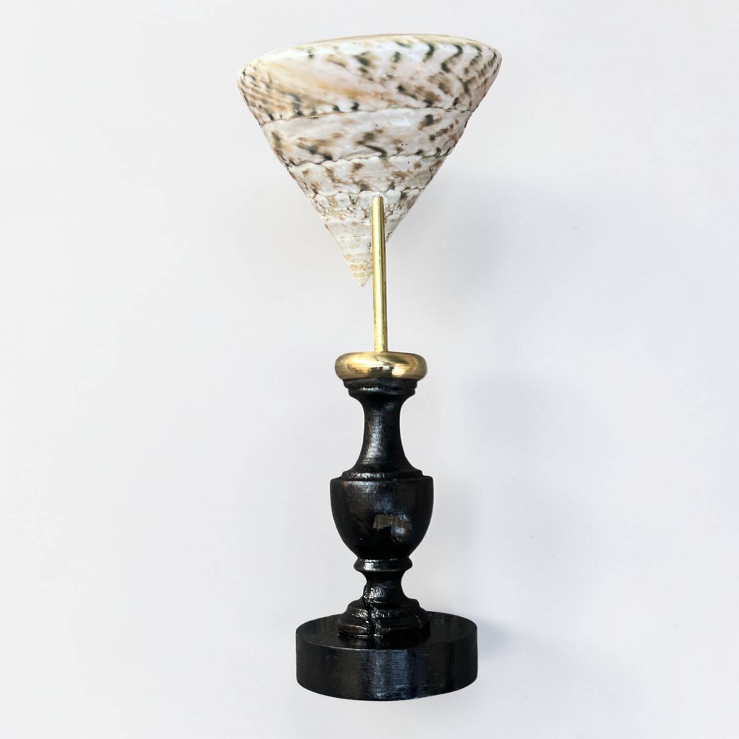 Nacre cone shell Troca on a turned black wooden base, late 19th century.
