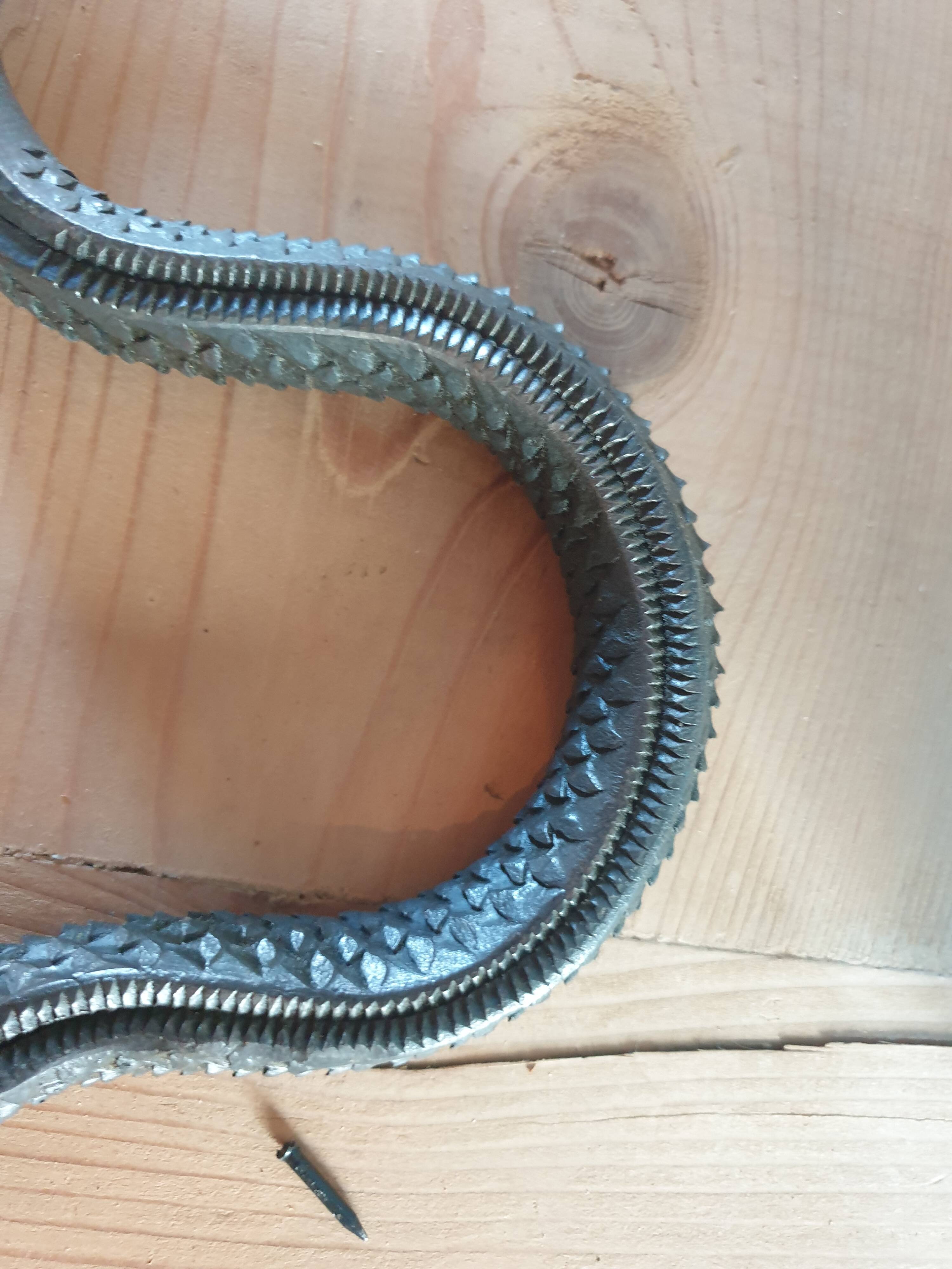 Serpent rappe a bois