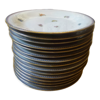 Set of 15 Limoges porcelain plates
