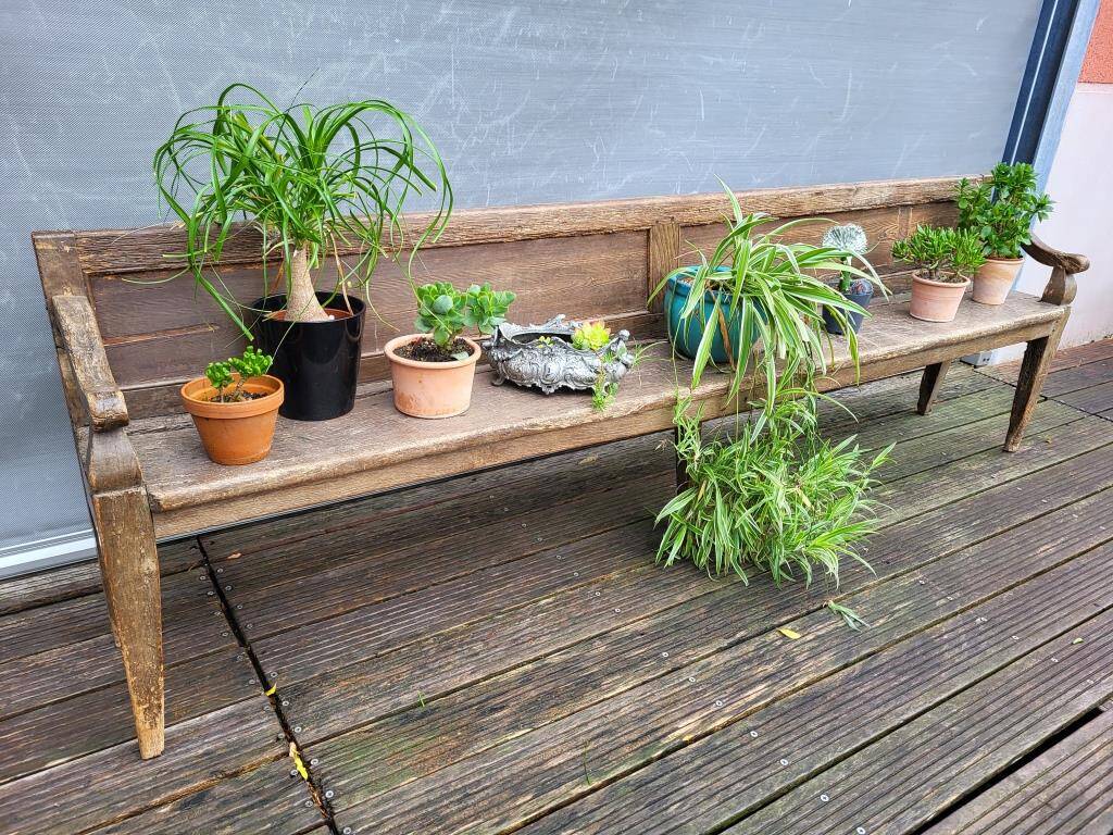 19th-century church pew, 245 cm long