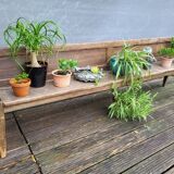 19th-century church pew, 245 cm long