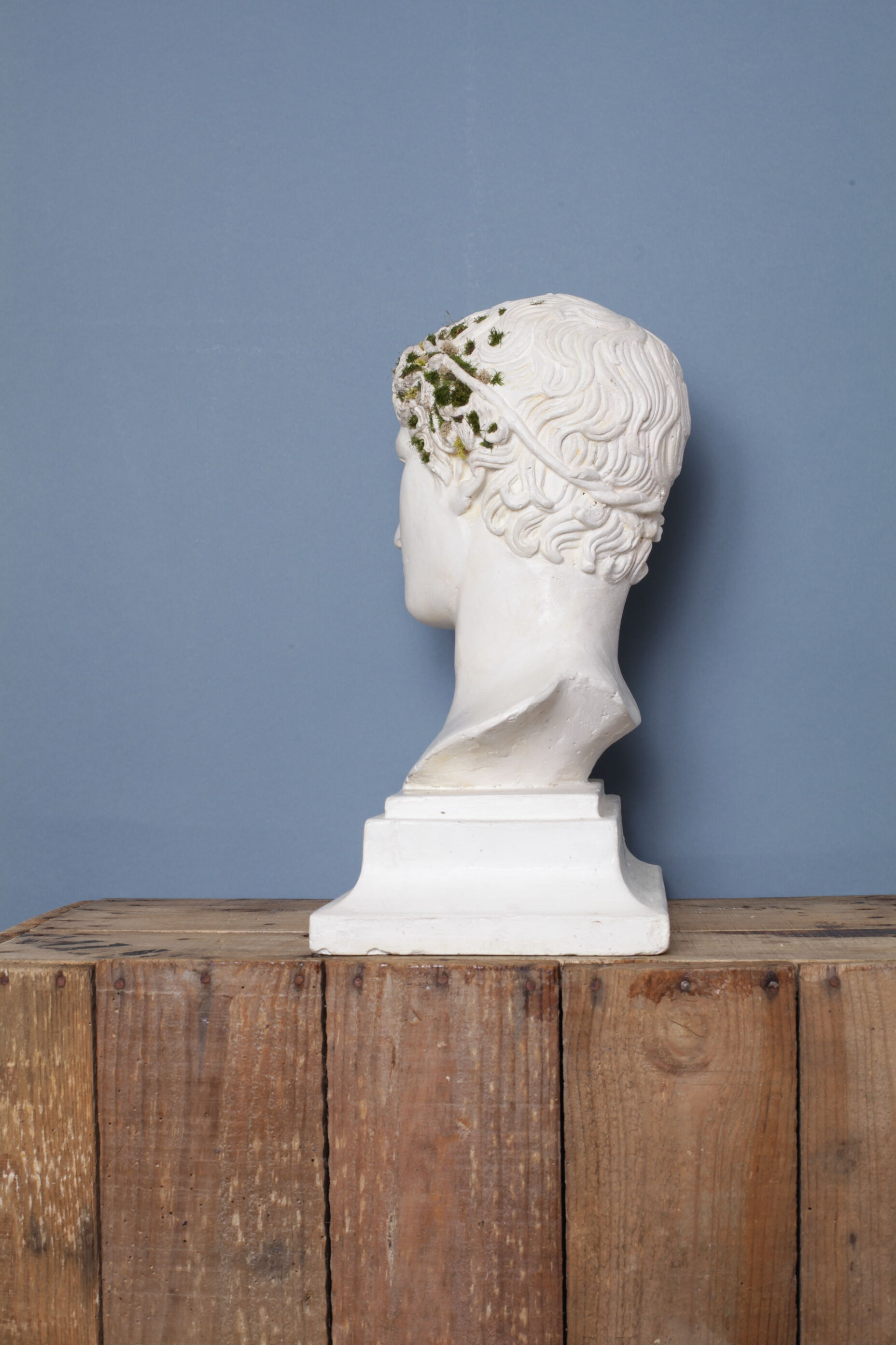 Roman head in waxed plaster