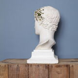 Roman head in waxed plaster