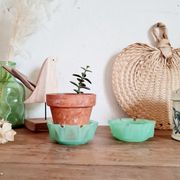 Duo of two candle holders cups in green opaline of water