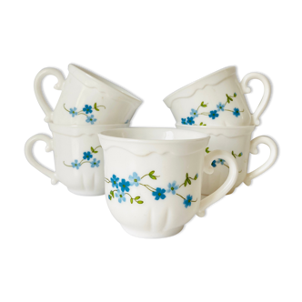 5 tasses à thé veronica avec myosotis bleues en verre blanc d'arcopal-80s-retro-vintage