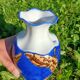 Vase Butterflies Limoges France