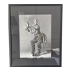 Cirque du soleil Richard Avedon