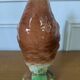 Duck pitcher