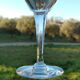 6 verres à eau en cristal taillé jambe à facettes baccarat ou saint louis
