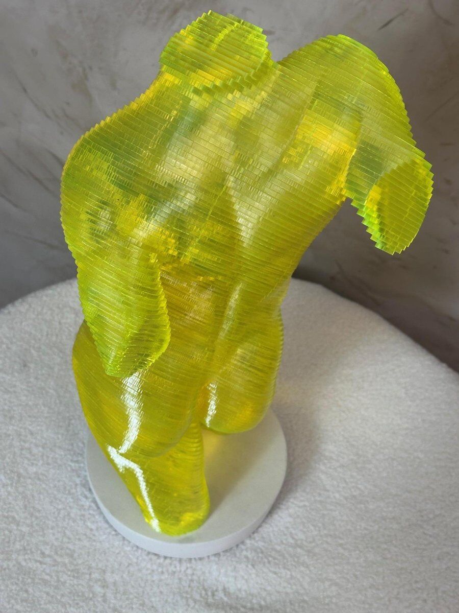 Acrylic male bust by Olivier Duhamel