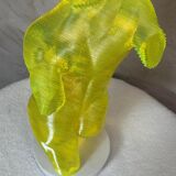 Acrylic male bust by Olivier Duhamel