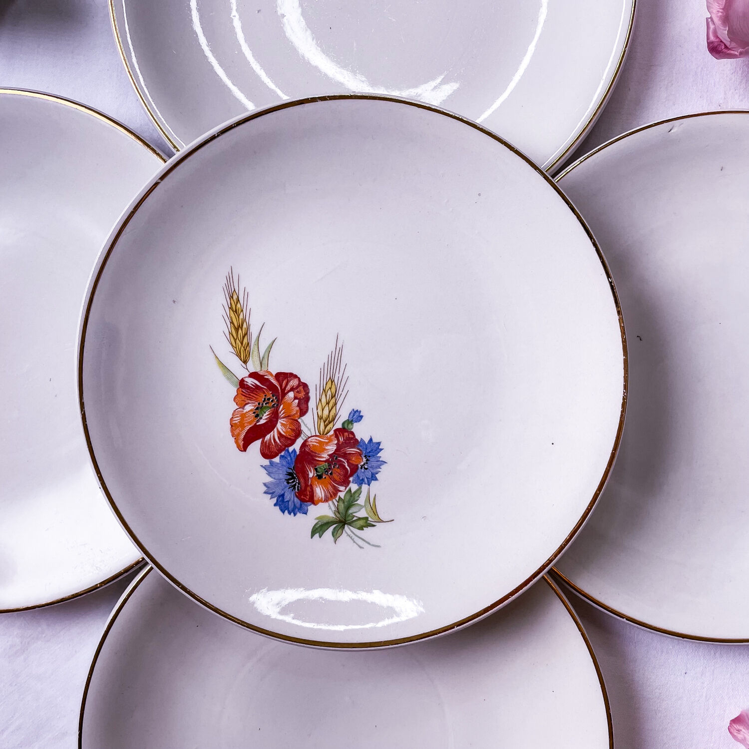 5 assiettes coquelicot