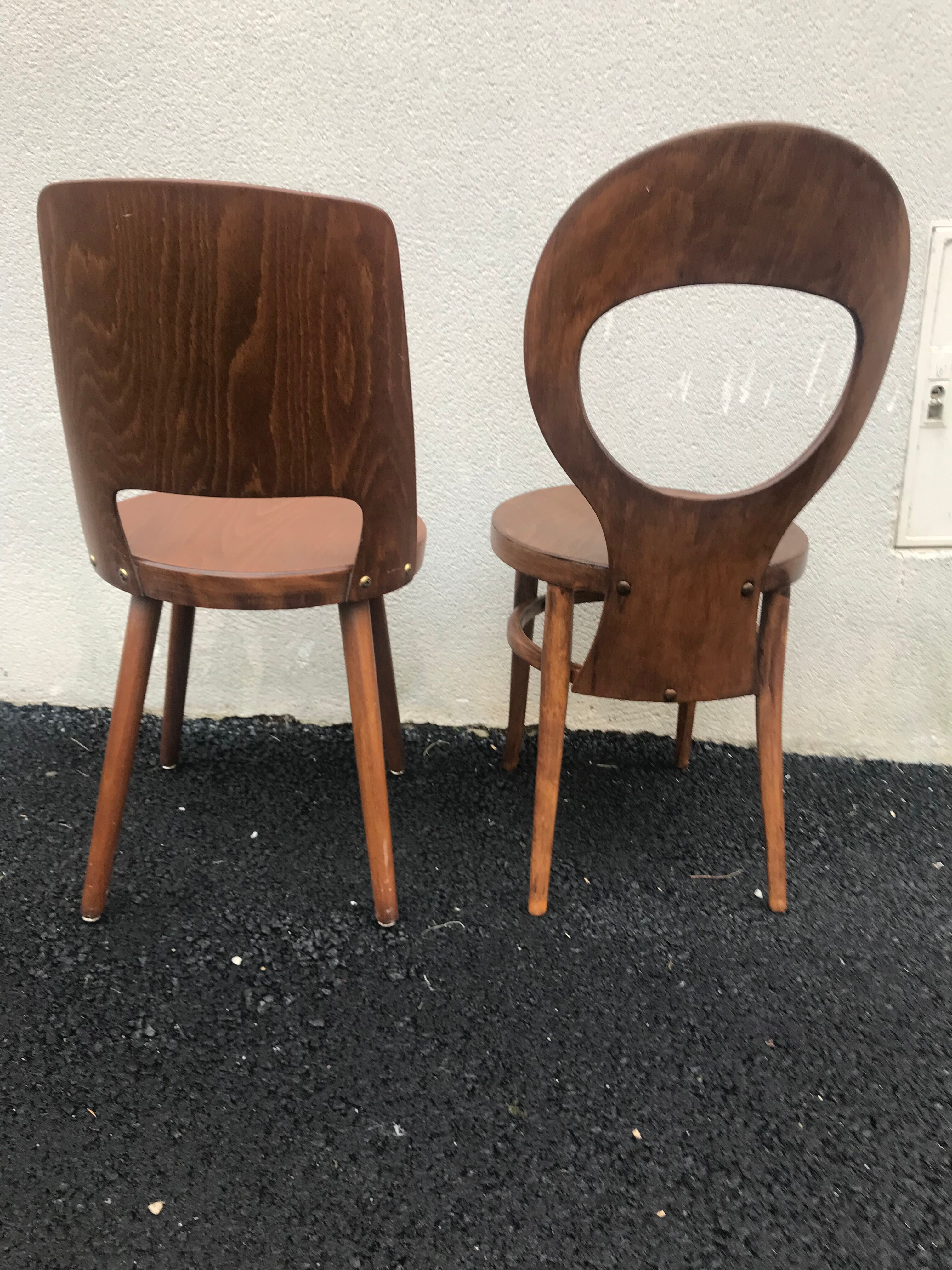 Baumann chairs « Seagull, Mondor «