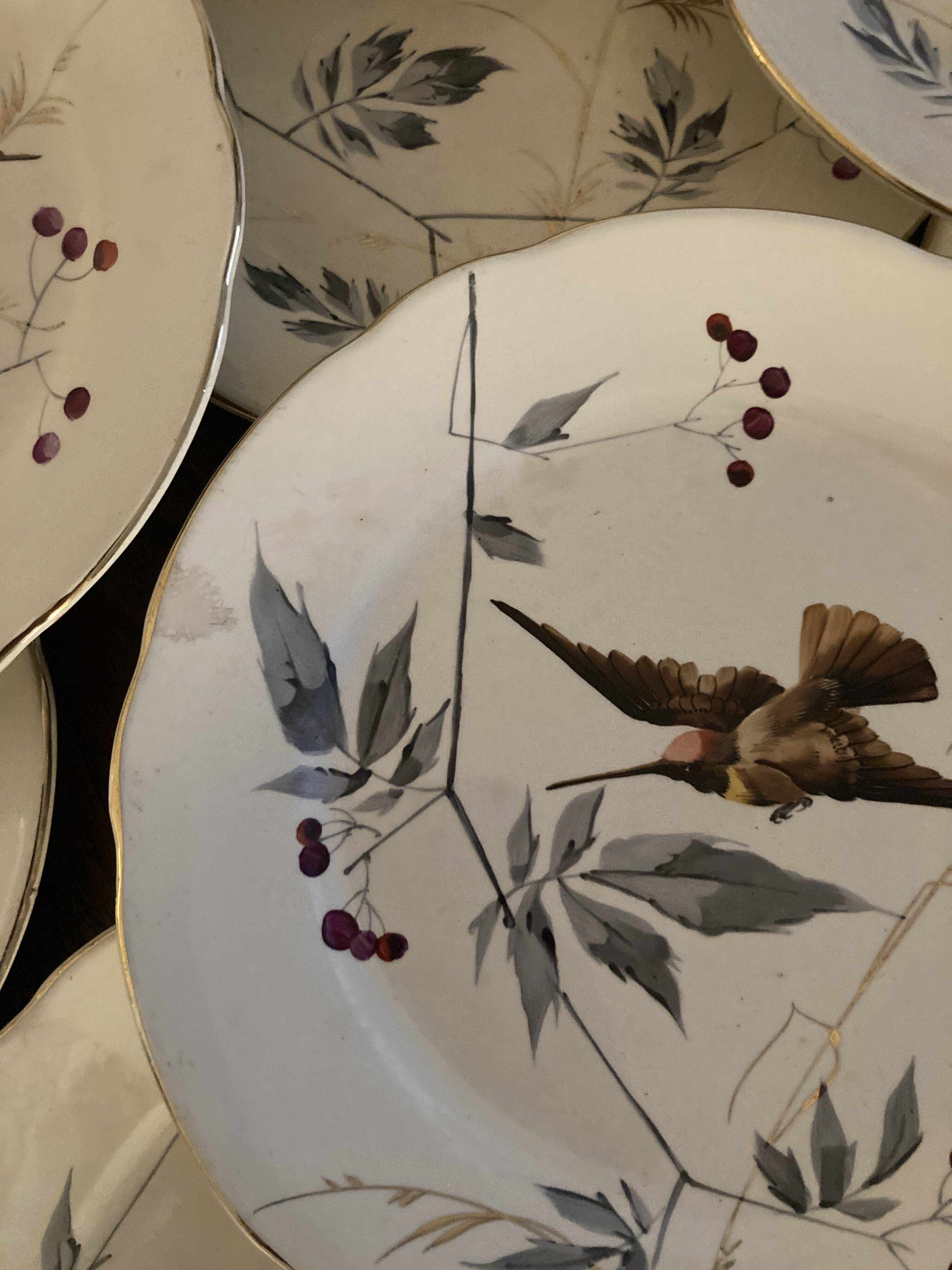 13 decorative plates with hummingbird design in fine earthenware by Mouzin Lecat, 19th century.