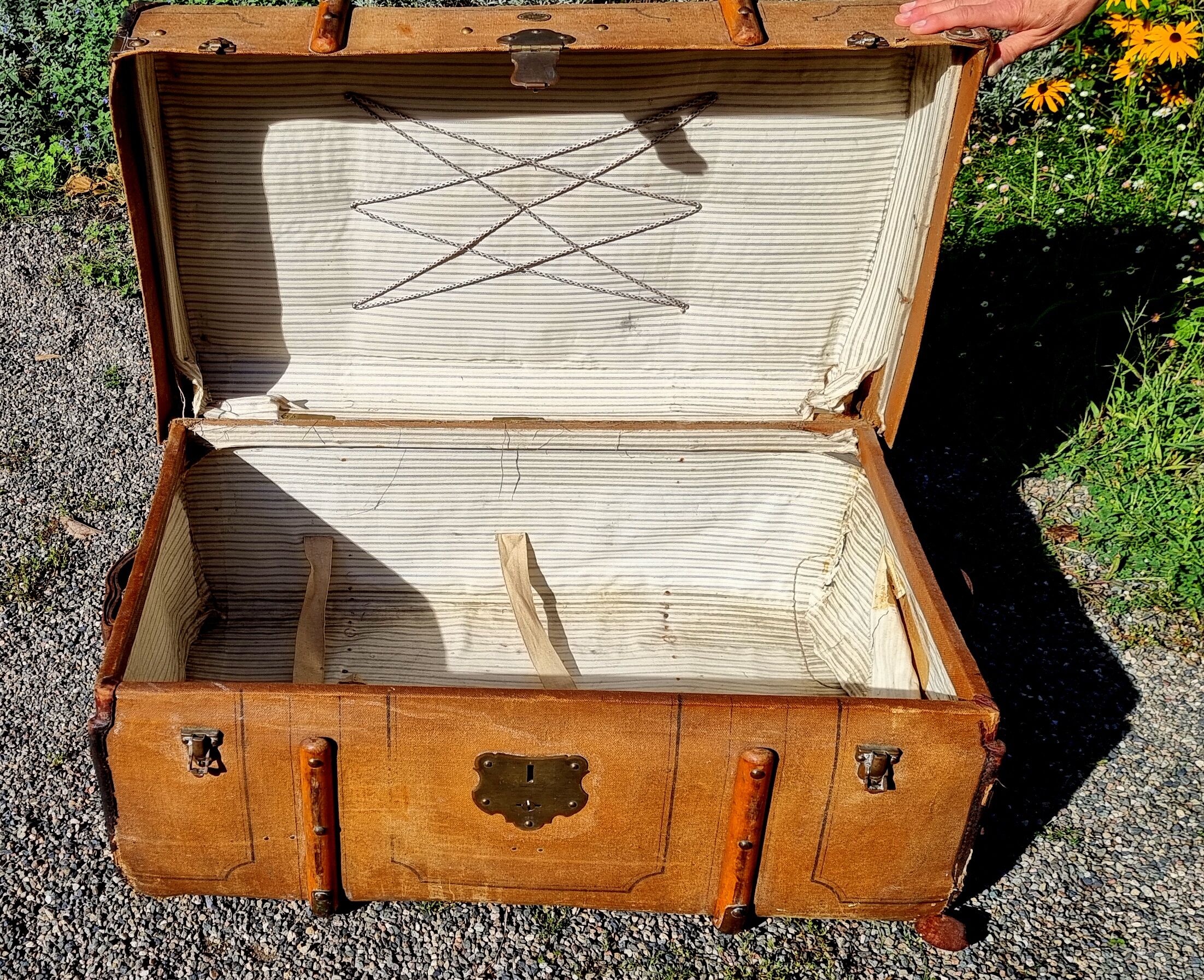 Travel trunk 1900