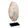 Perforated shell hand-decorated on a wooden base