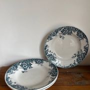 3 assiettes creuses Terre de Fer