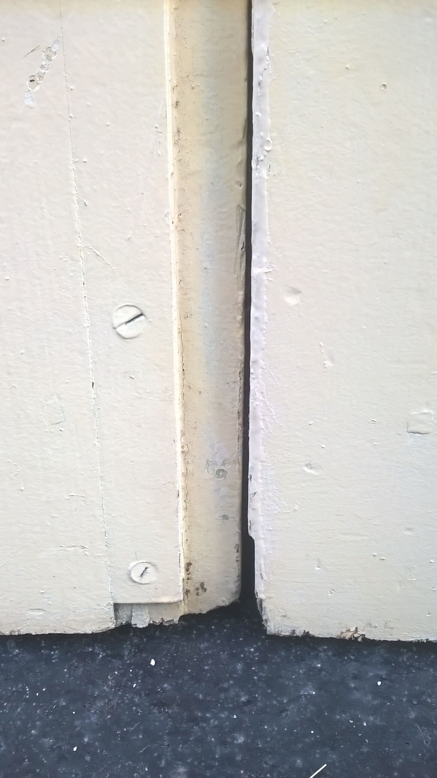 Old Haussmann double doors