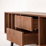 Vinyl Record Storage Cabinet Walnut "Nolana"