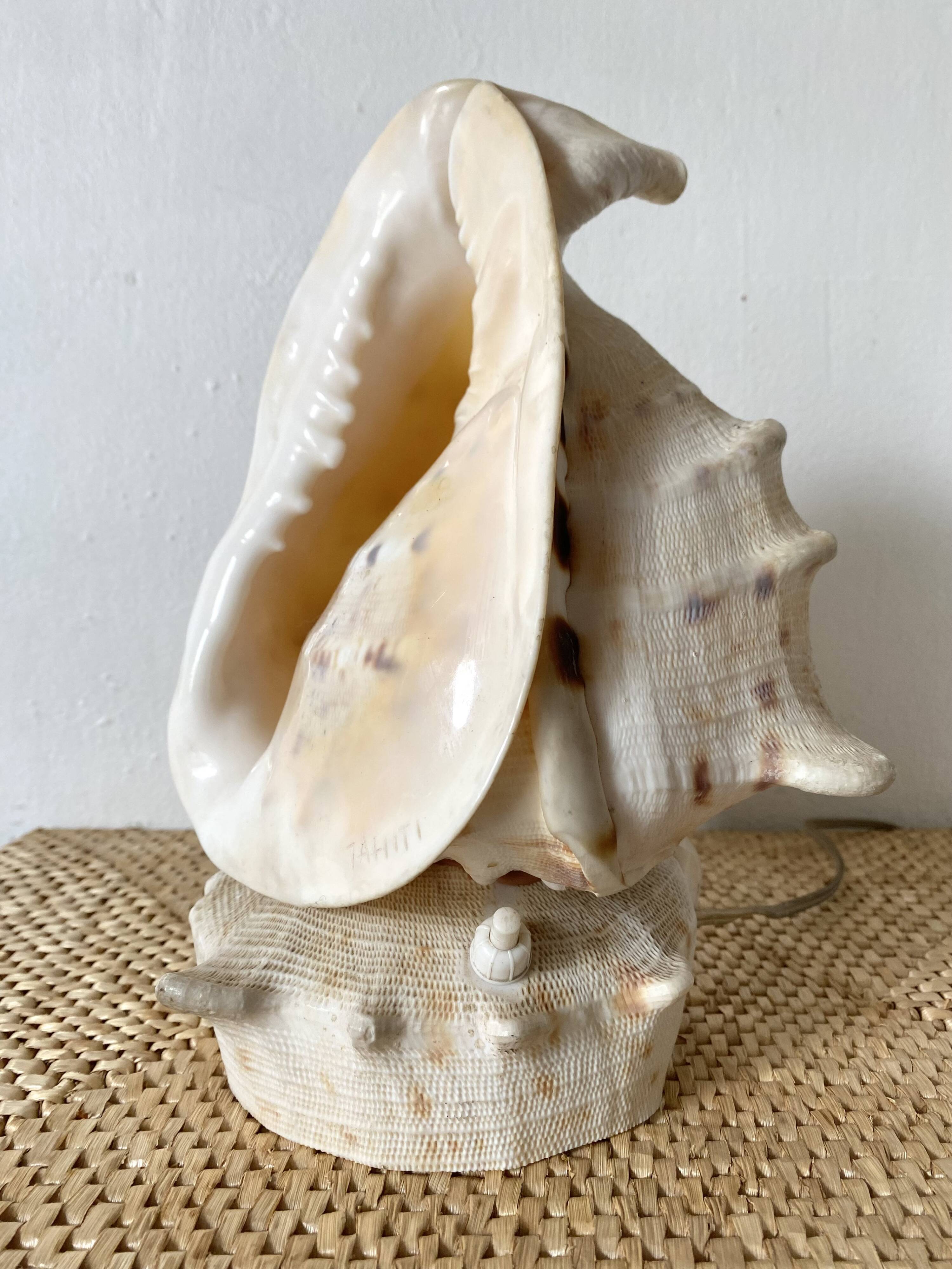 Lampe veilleuse en coquillage casque royal Tahiti