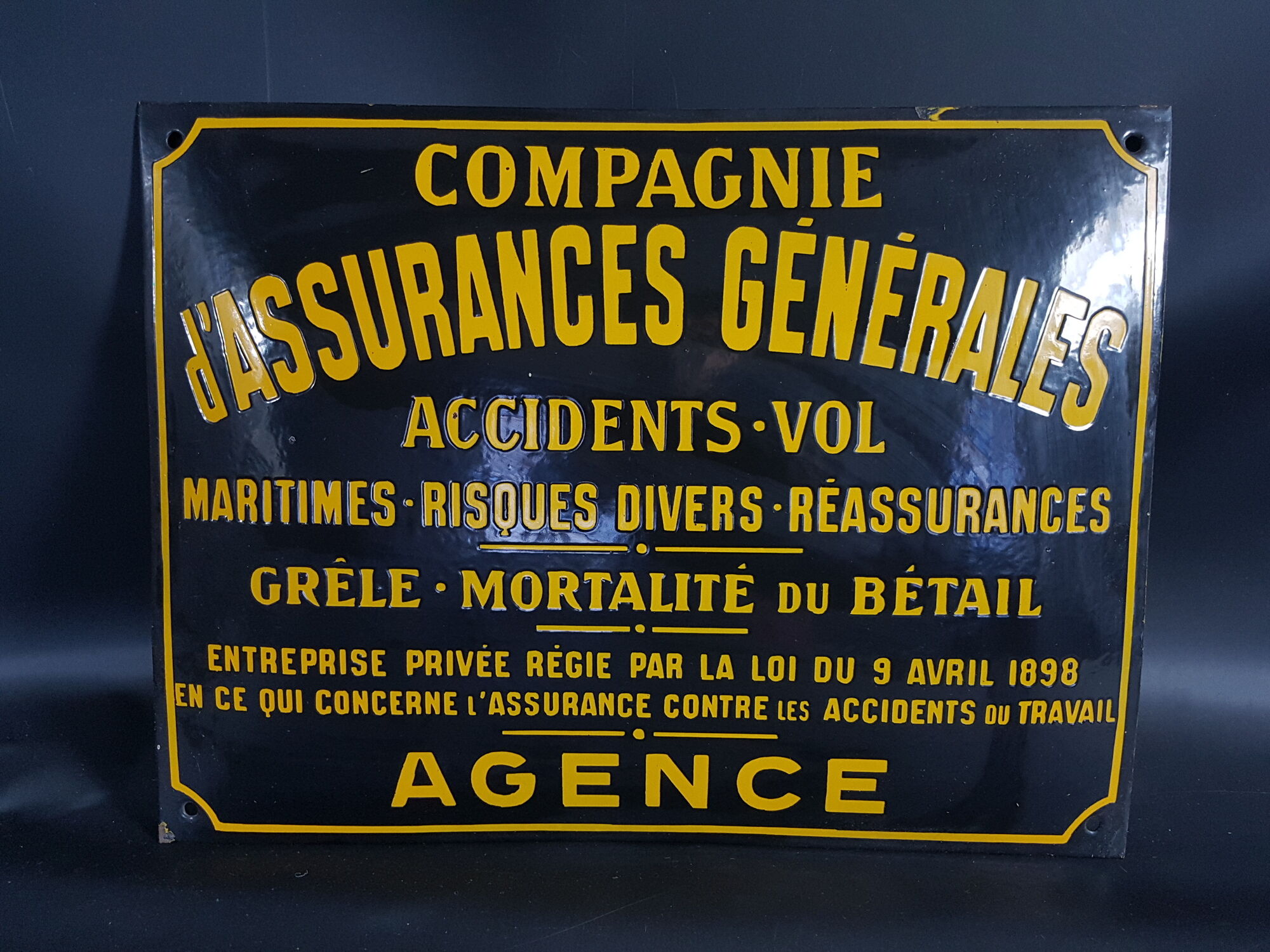 Advertising enamel plate "General insurance company... Miscellaneous risks... Hail, livestock mortality..." 50x 42 cm