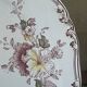 Set of five old flat plates Bisto England Model Anson Sp