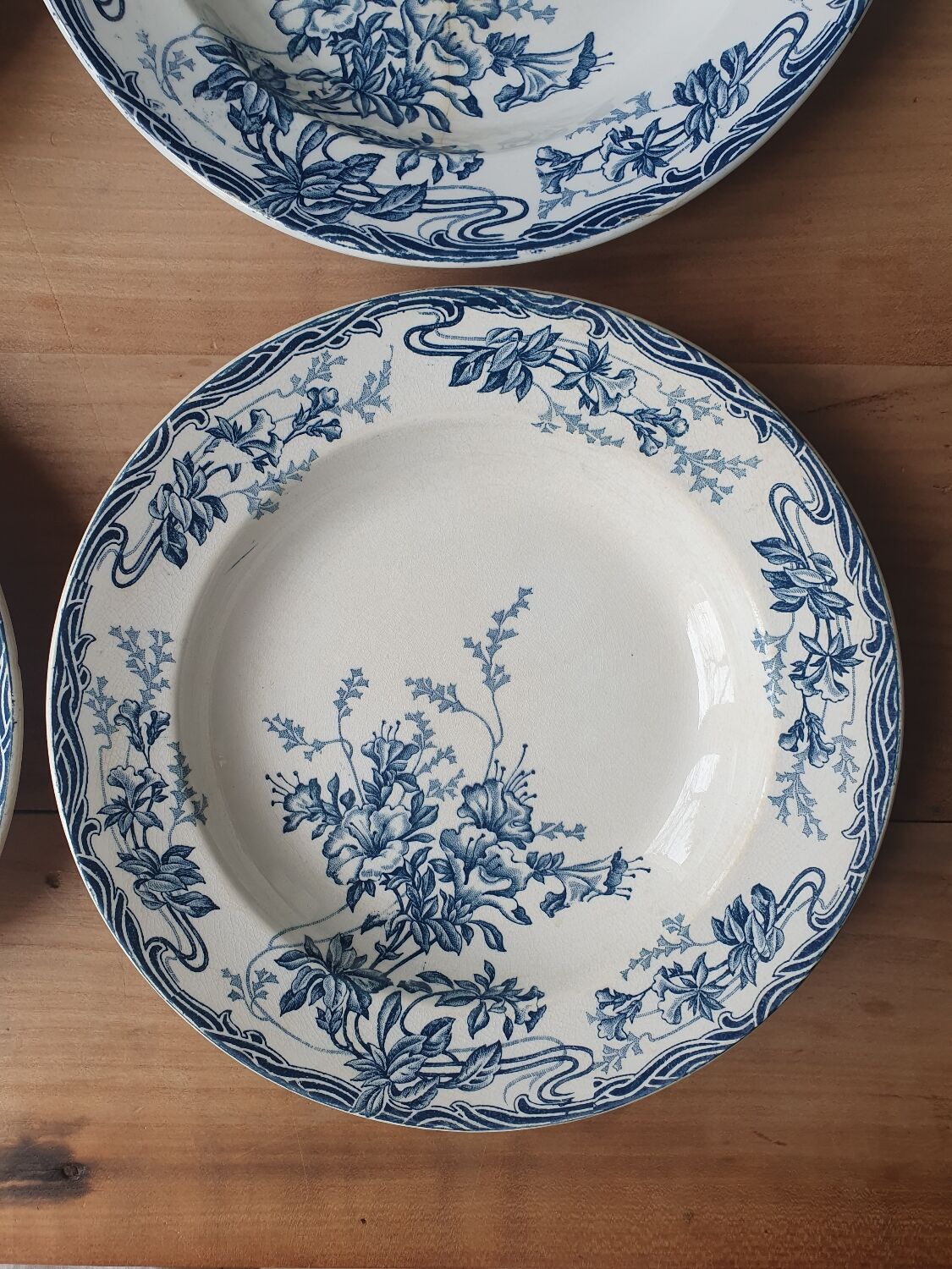 Hollow plates Longwy Azaleas