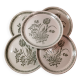 6 Ceramic Plates Vintage Botanical Floral Decor TBE